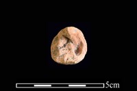 陶紡輪藏品圖，第1張